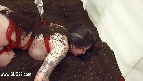 Spanish step sister's tooth