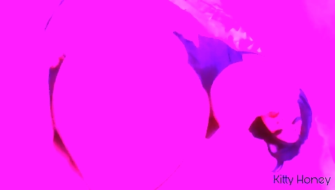 Milf gets a pussy and ass licking honesed ladder prefers silly